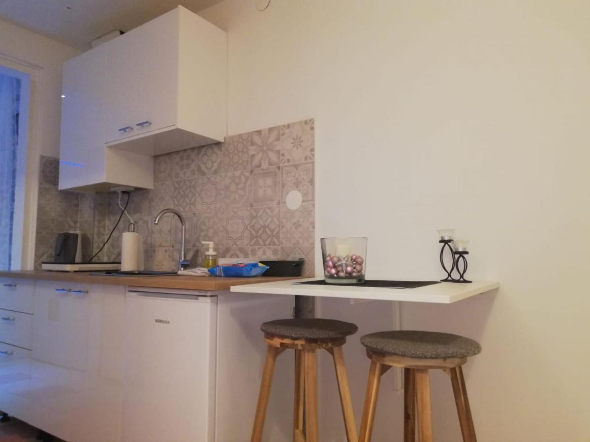 Studio Apartment New Home Загреб Экстерьер фото